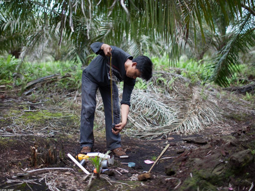យុទ្ធសាស្ត្រសម្រាប់ការអភិវឌ្ឍផ្ទាល់ខ្លួន