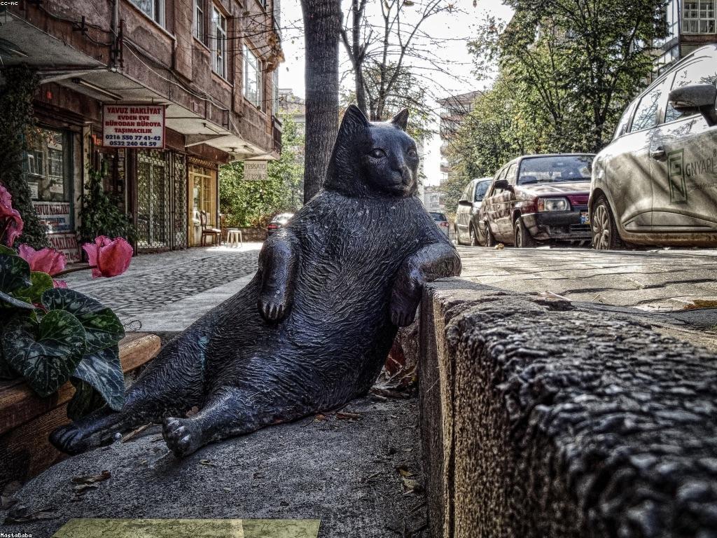 យុទ្ធសាស្ត្រ​វិនិយោគ​សម្រាប់អ្នកដើម